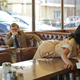 A scene from Review